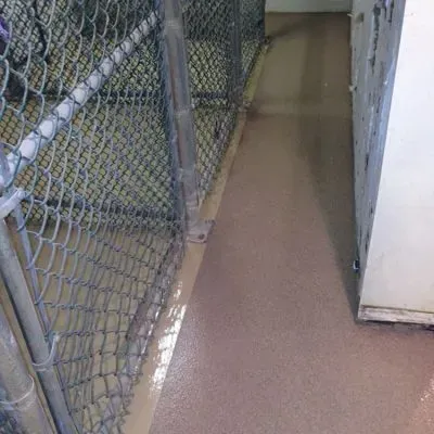 Dog_Kennel_Quartz_Shop_Coat_Installation_Beige